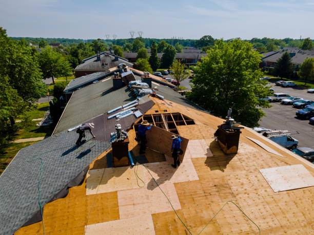 Best Storm Damage Roof Repair  in Fort Oglethorpe, GA
